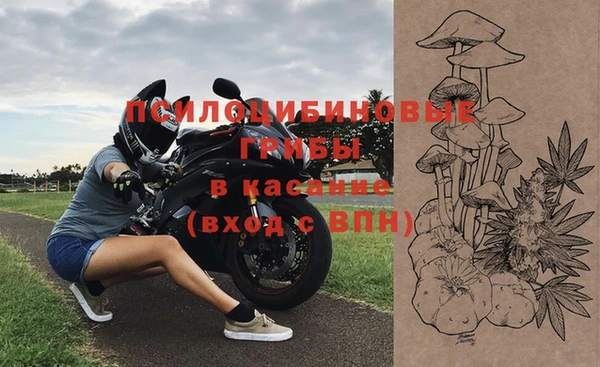 амф Снежинск
