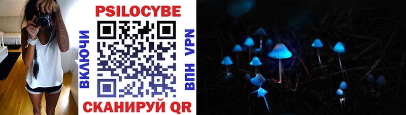 Псилоцибиновые грибы Cubensis  где найти наркотики  Буй 